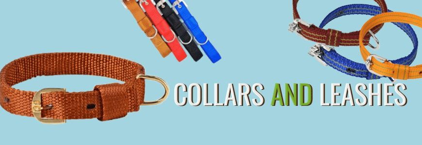 Puppy_and_Dog_Collars_and_Leashes