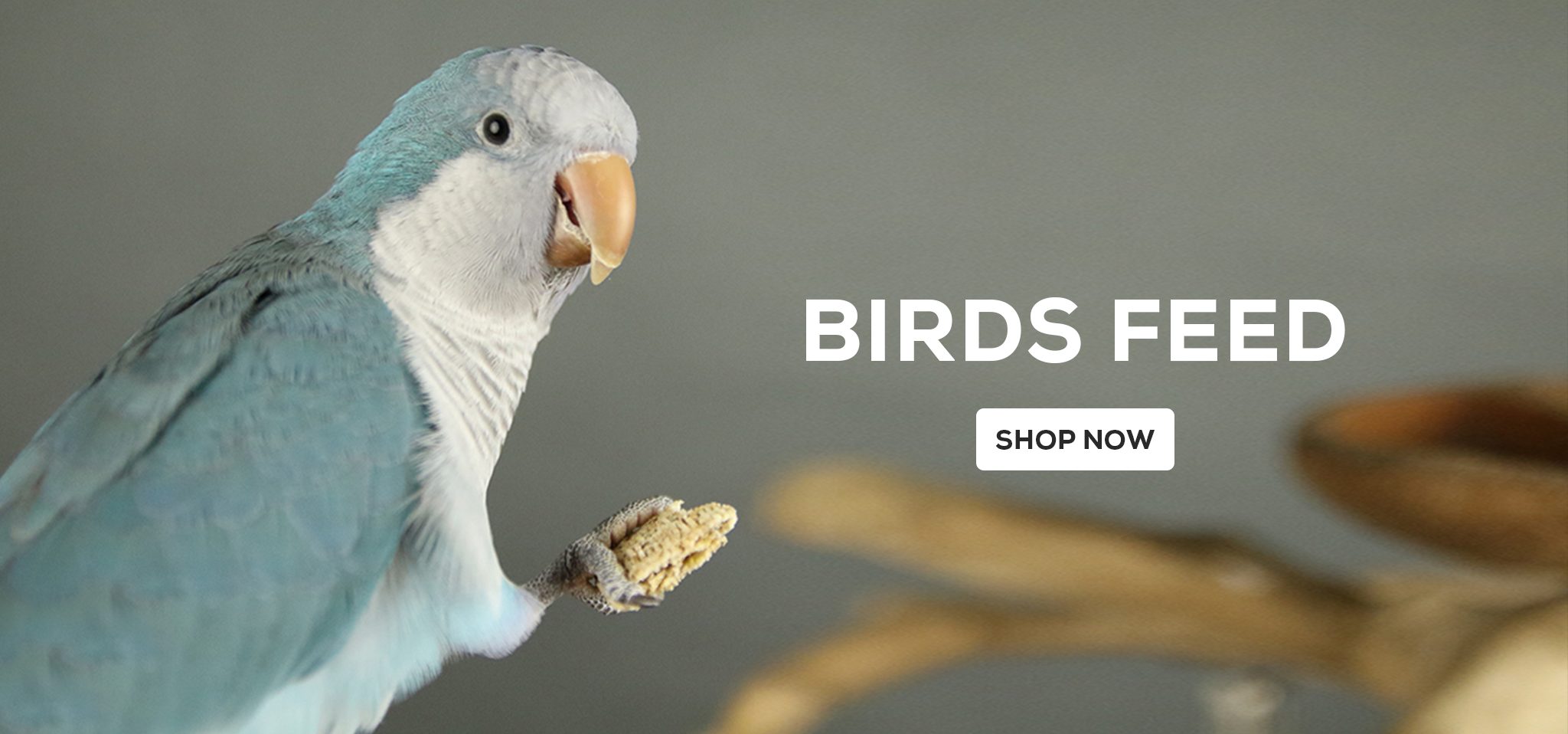 Bird-Feed