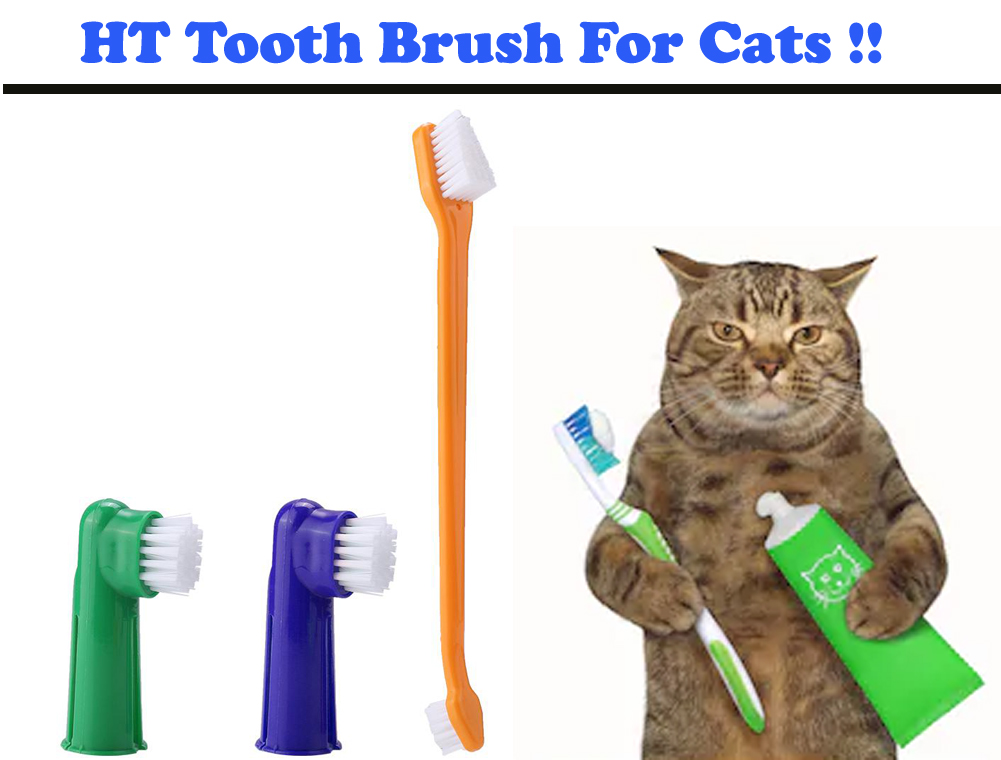 Tooth Brush for Cats & Dogs